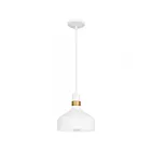 Quoizel Lighting QPP6804W Arbor 1-Light 100W Pendant