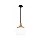 Quoizel Lighting Quoizel Piccolo Pendant QPPO5603MBK 1-Light Matte Black 100W Mini Pendant