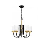 Quoizel Lighting Rowland ROW5022MBK 5-Lights 5100W Matte Black Chandelier