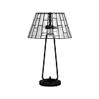 Quoizel Lighting Rainier TF6176MBK 150W Matte Black Table Lamp