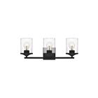 Quoizel Lighting ABR8621MBK 3 Lights Matte Black 300W Abner Bath Light