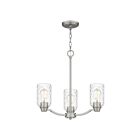 Quoizel Lighting ACA5020BN 3 Lights Brushed Nickel 300W Acacia Chandelier