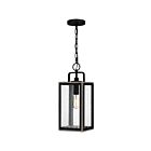 Quoizel Lighting BRAM1907MBK 1 Light Matte Black 100W Bramshaw Hanging Lantern