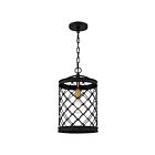 Quoizel Lighting CAI1510EK 1 Light Earth Black 100W Calais Mini Pendant