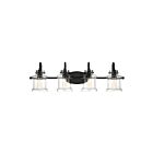 Quoizel Lighting DNY8604EK 4 Lights Earth Black 400W Danbury Bath Light