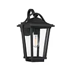 Quoizel Lighting DRS8411EK 1 Light Earth Black 150W Darius Outdoor Lantern