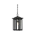 Quoizel Lighting EVG1911EK 1 Light Earth Black 150W Everglade Outdoor Lantern
