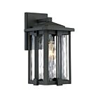 Quoizel Lighting EVG8407EK 1 Light Earth Black 100W Everglade Outdoor Lantern