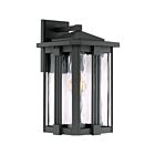 Quoizel Lighting EVG8409EK 1 Light Earth Black 100W Everglade Outdoor Lantern