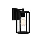 Quoizel Lighting HAZ8406EK 1 Light Earth Black 100W Hazel Wall Lantern