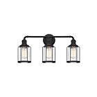 Quoizel Lighting LUD8624EK 3 Lights Earth Black 300W Ludlow Bath Light