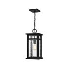 Quoizel Lighting MOI1908EK 1 Light Earth Black 100W Moira Outdoor Lantern