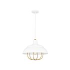 Quoizel Lighting QP5357W 1 Light White Lustre 100W Darmody Pendant