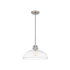 Quoizel Lighting QP5360BN 1 Light Brushed Nickel 100W Iona Pendant