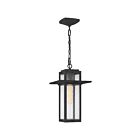 Quoizel Lighting RDL1909MB 1 Light Mottled Black 100W Randall Outdoor Lantern