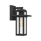 Quoizel Lighting RDL8407MB 1 Light Mottled Black 60W Randall Outdoor Lantern