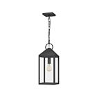 Quoizel Lighting TPE1908MB 1 Light Mottled Black 100W Thorpe Outdoor Lantern