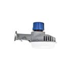 RAB Design BL1-LED40 36W Gray LED Barn/Area Light