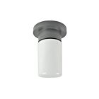 RAB Design RCP100 75W 1-Light Ceiling Mount Fixture