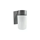 RAB Design RWG100 100W Wall Mount