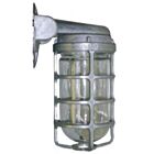 Rab Design VBS100CG 100W Vapourproof Fixture