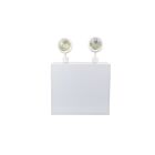 Reno Lighting RENO-EBP150W-U 150W 2-Heads White Emergency Light