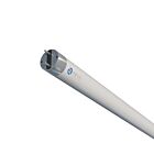 Reno Lighting WLL-LEDT8BC14-850-ECO-4FT 14W 4' T8 LED Direct Fit Tube