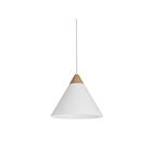 Renwil LPC4483 Daya LED 1-Light 40W Powder Coated Matte White Finish Pendant