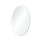 Renwil MT1552 Frances Polished Vanity Mirror