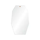 Renwil MT1747 Apse Full Length Mirror