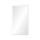Renwil MT641 Bjorn Polished Vanity Mirror