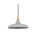 Renwil Viola-May LPC4331 Textured - Black Powder Coated  40W Ceiling Fixture