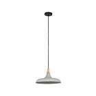 Renwil Viola-May LPC4331 Textured - Black Powder Coated  40W Ceiling Fixture