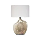 Renwil Benedek LPT1072 Chrome 100W Table Lamp