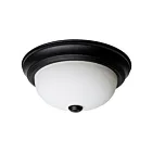 Satco 60-127 2-Lights 60W Matte Black Flush Mount