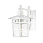 Nuvo Lighting 60-3491 Cove Neck 1-Light 100W White Outdoor Wall Lantern