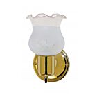 Nuvo Lighting 60-6097 1-Light 60W Polished Brass Vanity