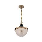 Nuvo Lighting 60-7060 Faro 1-Light 100W Burnished Brass Chain Pendant