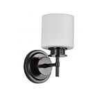 Satco 60-8031 Warren 1-Light 60W Gun Metal Vanity Light