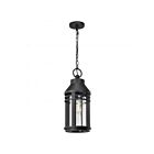 Satco 60-8104 Wilton 1-Light 100W Matte Black Outdoor Hanging Lantern