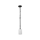Satco 60-8215 Liam 1-Light 60W Matte Black Pendant