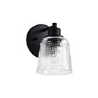 Satco 60-8601 Grayson 1-Light 100W Matte Black Vanity Light