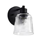 Satco 60-8601 Grayson 1-Light 100W Matte Black Vanity Light