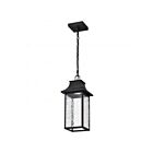Satco 62-5996 Austen 1-Light 10W Matte Black Outdoor Hanging Lantern