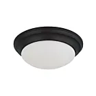 Satco 62-689 25W Matte Black Flush Mount