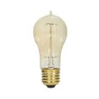 Satco S2424 40W A15 Incandescent Bulb 2700K
