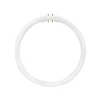 Satco S2955 22W T5 Circline High Performance Fluorescent Lamps 3000K