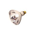 Satco S4750 125W R40 Incandescent Reflectors 2700K