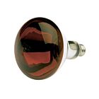 Satco S4884 250W R40 Incandescent Shatter Proof