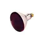 Satco S4998 250W R40 Incandescent Reflectors